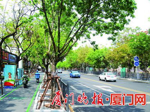 廈門禾祥西路體育路綜合改造，兩條重要道路全面升級